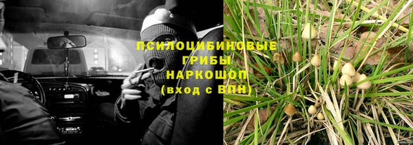 ПСИЛОЦИБИНОВЫЕ ГРИБЫ Алексин